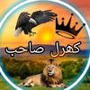 user57222407623691