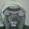 aaklkia