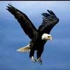 user4570317761262