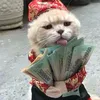 tongkhogiadung247bn