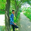 user230646901