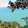 akuorgjawa_