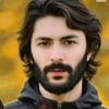 zafar11042