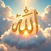 user4816573623047