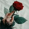 user1563016899