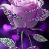 user4693014321159