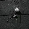 .qypi.wppu