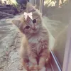 dasha_doshikx0_0