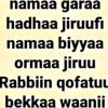 fatmah3026