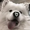 th_vyi1
