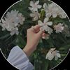 user1117851602207