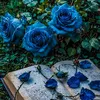user801622006633