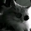 whyyy_nn27