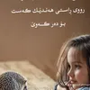 gulle_rash831