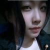 dhaniez01