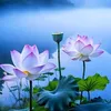 lin.hoa.tm0