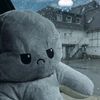 user8481543041279