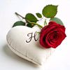 hasnain.raja596