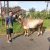 heriseptiawanheri