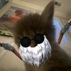 elit_cees55
