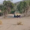 ali028202