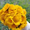 rahma_zoui