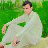 user2931206610336