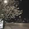 li_lin013