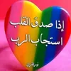 user9958768063441