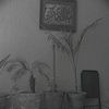 awais37408