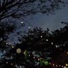zainab__046