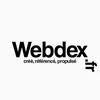 webdex.fr