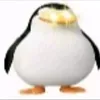 boshmack4