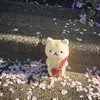 user_mittcte