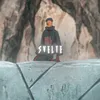 Svelte