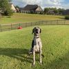 paisleigh_4114