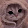 juniphaythch.chi