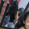 lidys.carvajal