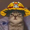 fofotwt