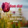 valdete.silveira7
