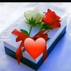 yassin.mht.809