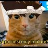 felipe.bentancor0