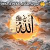 ismaila.diop484