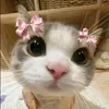 chqskq5