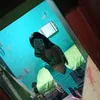 rayxz.010