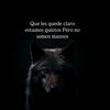 si.miedo.al.xito1