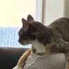 z0mbfor3ver