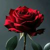 jeon.tarovin