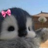 hirasukamatcha5