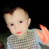 nasibkhan4843